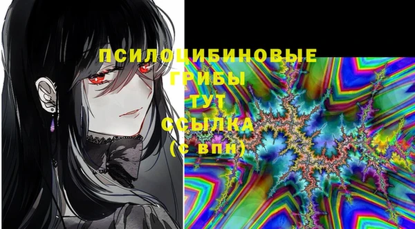 ПСИЛОЦИБИНОВЫЕ ГРИБЫ Лагань
