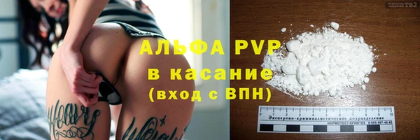 молекула духа Лабытнанги