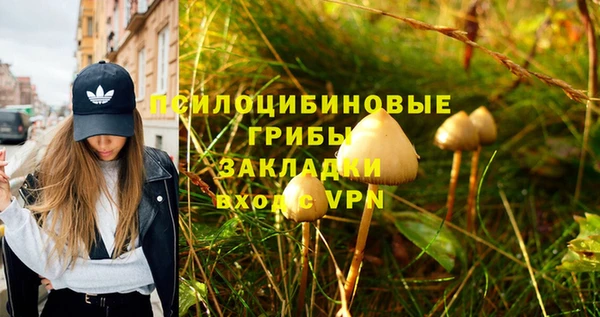 ПСИЛОЦИБИНОВЫЕ ГРИБЫ Лагань