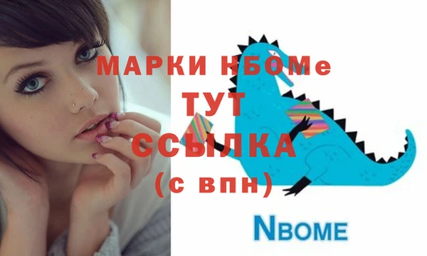 молекула духа Лабытнанги