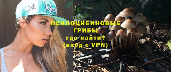 ПСИЛОЦИБИНОВЫЕ ГРИБЫ Лагань