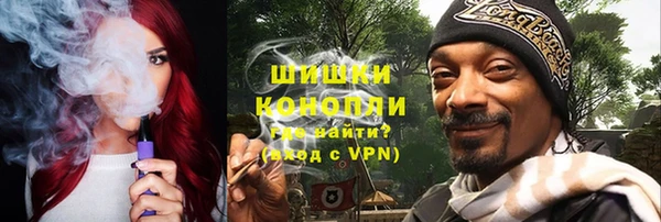 молекула духа Лабытнанги