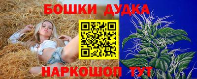 стафф Бийск