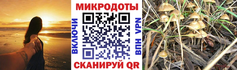 Галлюциногенные грибы GOLDEN TEACHER  даркнет сайт  МЕГА ТОР  Нижнеудинск 