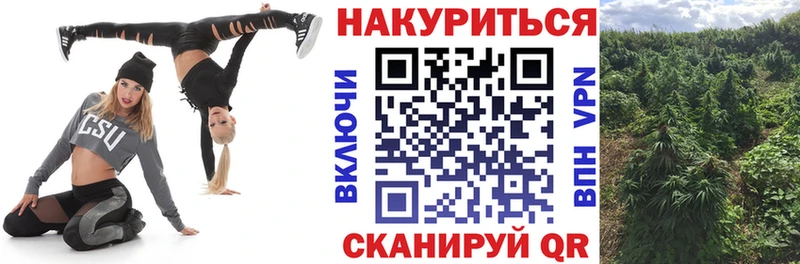 где можно купить наркотик  Нижнеудинск  МАРИХУАНА SATIVA & INDICA 